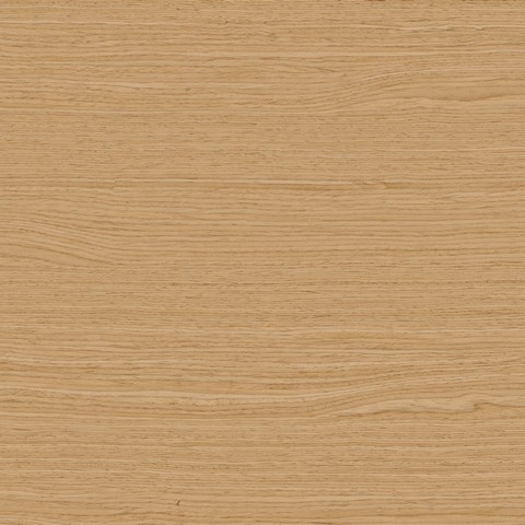 Дуб песочный